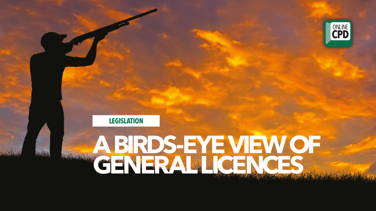 birds eye view general licences bpca defra birds eye view general licences bpca defra